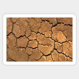 Dried soil texture Sticker